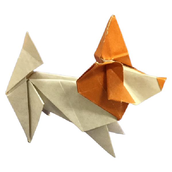 đļ pochi